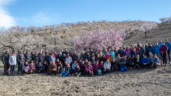 Espectacular floración del almendro